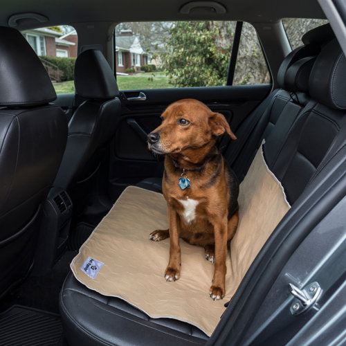 Pet Parents® Pawtect® Pads Premium Washable Pee Pads, 2ct Classic